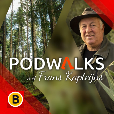 episode Podwalk met Frans door de magische Oisterwijkse bossen artwork
