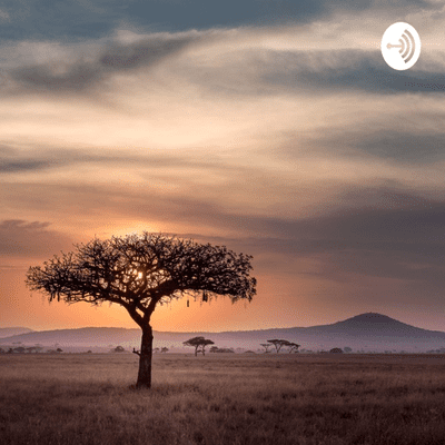 Imagen de portada del programa Stella Immanuel