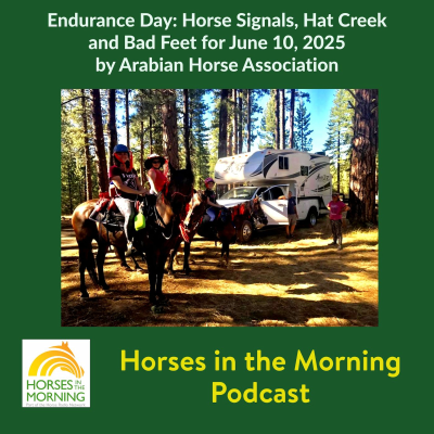 episode Endurance Day: Horse Signals, Hat Creek and Bad Feet for June 10, 2025 by Arabian Horse Association artwork