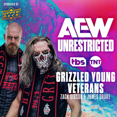 episode Grizzled Young Vets artwork