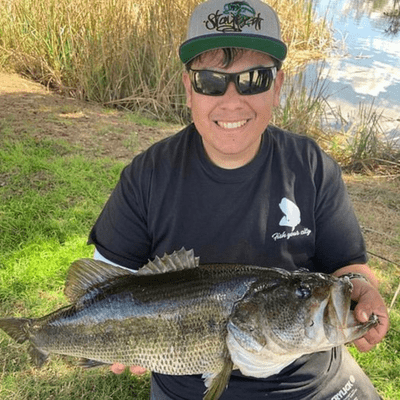 outsider tackle box