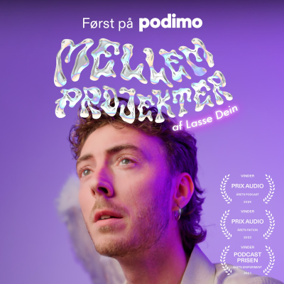 Mellem Projekter