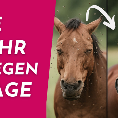 episode Fliegenspray für's Pferd selber machen artwork