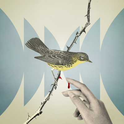 episode Weighing Good Intentions artwork