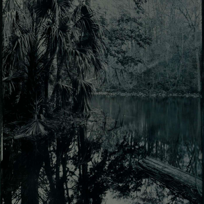 episode Episode 224: Echoes of the Wild, Matt Keene, and Florida Photography Not Often Seen artwork