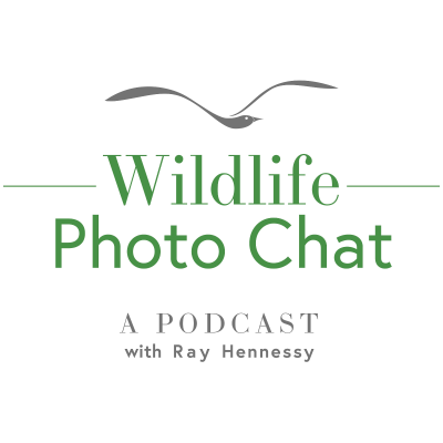 episode 222: Weekly with Brad James artwork