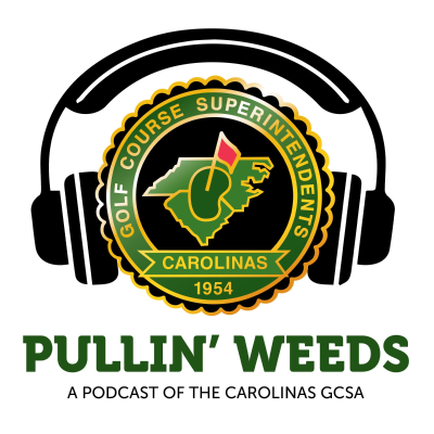 episode Brian Powell artwork
