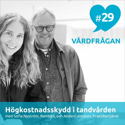 episode 29: Högkostnadsskydd i tandvården med Sofia Nyström och Anders Jonsson artwork