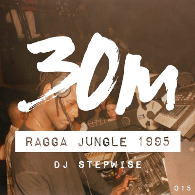 episode 015: Ragga Jungle 1995 - DJ Stepwise (Oakland) artwork