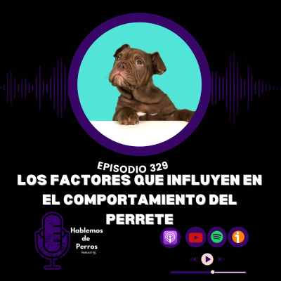 episode Episodio #329: Los factores que hacen que tu perrete se porte así artwork