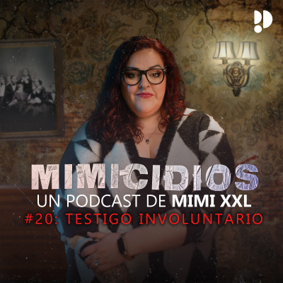 episode 4x20 Testigo involuntario artwork