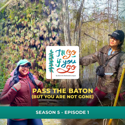 episode Pass the Baton (But You Are Not Gone) artwork