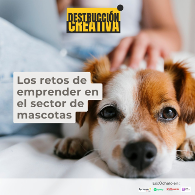 episode Los retos de emprender en el sector de las mascotas artwork