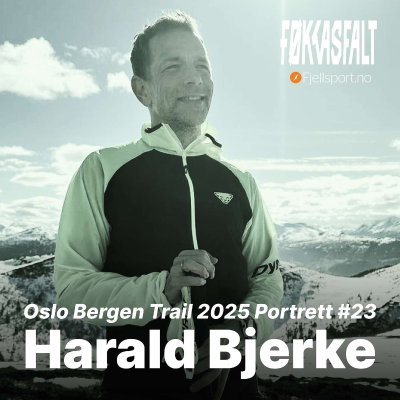episode OBT 2025 Portrett #23 - Harald Bjerke artwork