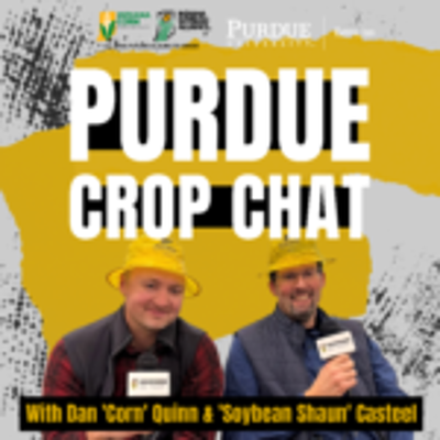episode Purdue Crop Chat Ep. 80- Tar Spot, Red Crown Rot, & Other Diseases with Darcy artwork