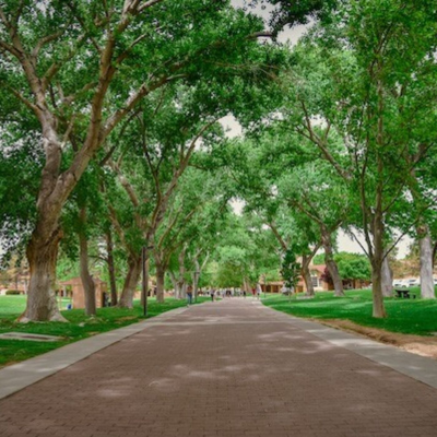 episode The Albuquerque Academy Admissions Process Step by Step artwork