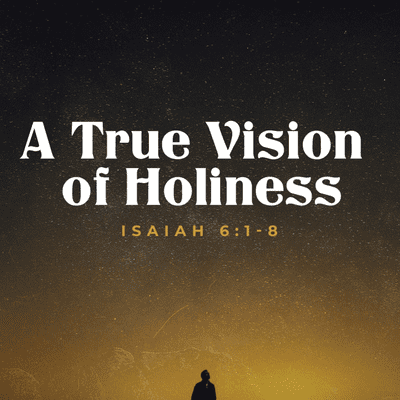 episode A Vision of Holiness artwork