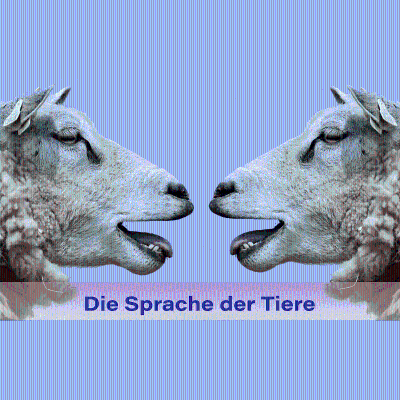 Die Sprache der Tiere