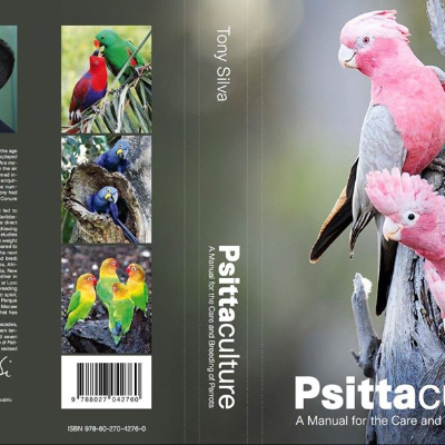 episode Tony Silva-State Of The Ark-Origin & Future of Aviculture artwork
