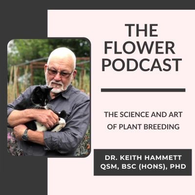 episode The Science and Art of Plant Breeding with Dr. Keith Hammett artwork
