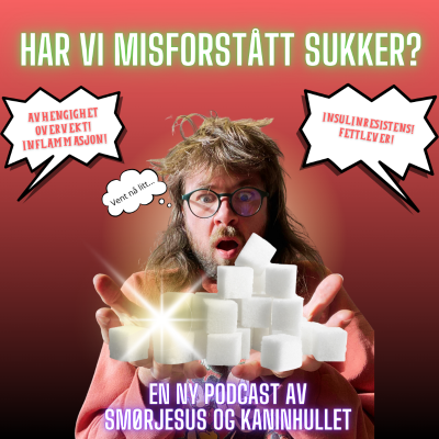 episode S2 Episode #13 - Har vi misforstått sukker? (del 1) - Når forskning på sukker feiltolkes – dose, design og kontekst artwork