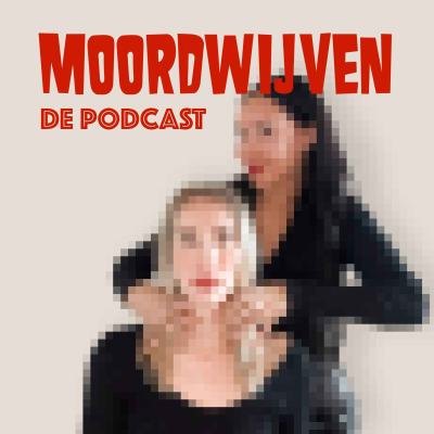 episode 35. De moord in het lovehotel artwork