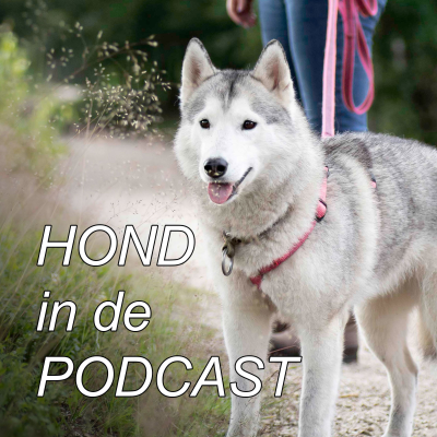 Hond in de podcast