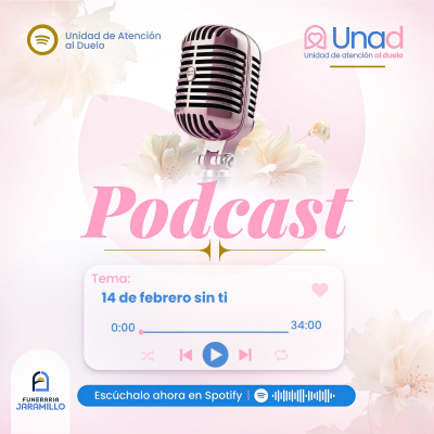 episode 14 de febrero sin ti artwork