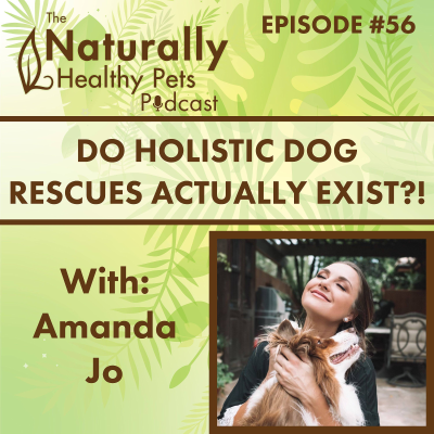 episode EP 56: Do Holistic Dog Rescues Actually Exist?! with Amanda Jo artwork