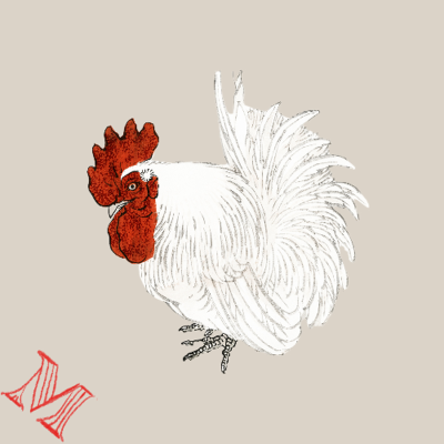 episode Le chant du coq artwork