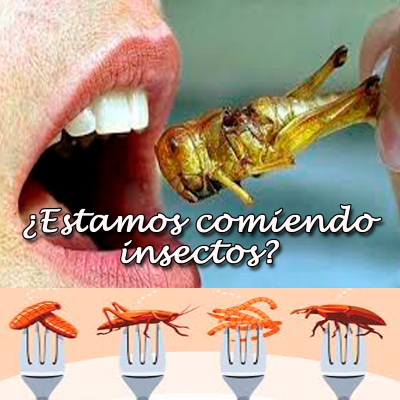 episode "Siete Luces, para un cambio de conciencia // Secretos de la comida procesada y su peligro"(T11-P30) artwork