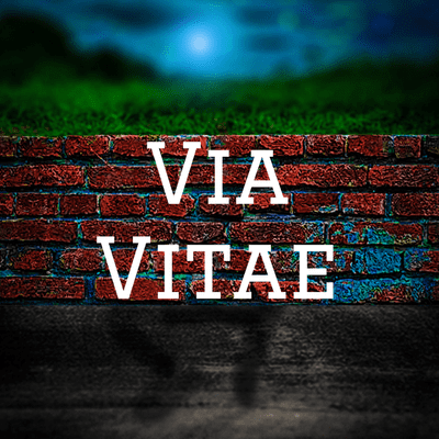 Via Vitae