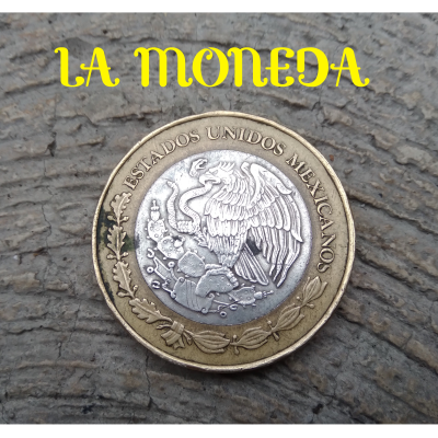 episode La moneda artwork