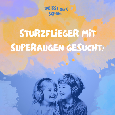 episode Luftschneider artwork