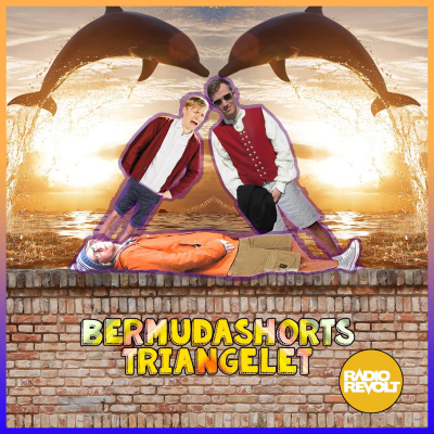 Bermudashortstriangelet