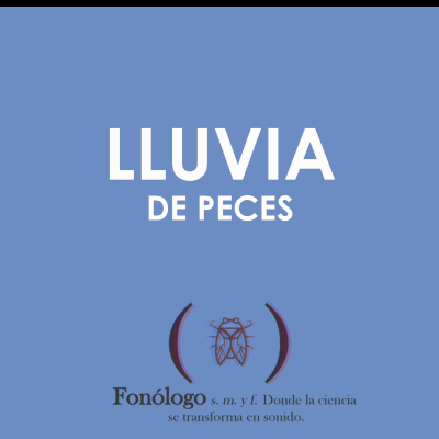 episode Fonólogo - Lluvia de peces artwork