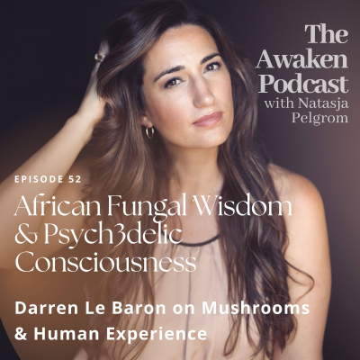 episode African Fungal Wisdom & Psych3delic Consciousness artwork