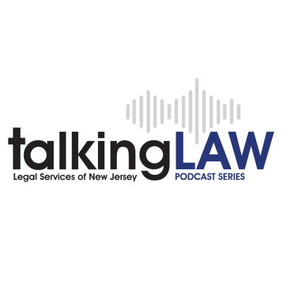 episode State Agencies and Language Services: A Conversation with Anisa Rahim and Al Moreno artwork