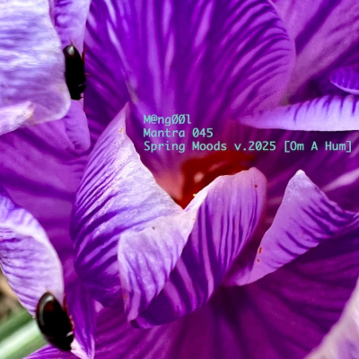 episode M@ngØØl - Mantra 45 Spring Moods v.2025 [Om A Hum] artwork