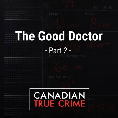 episode The Good Doctor [2] artwork