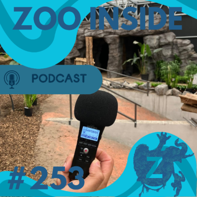 episode Zoo Inside #253 - Afrika in aanbouw & Zuid-Amerika geopend: Ngyuwe en Novo Mundo artwork