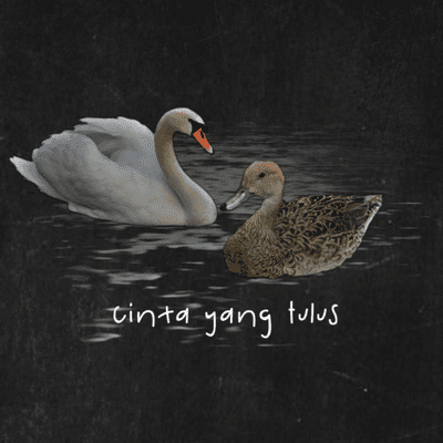 episode Cinta yang Tulus? artwork