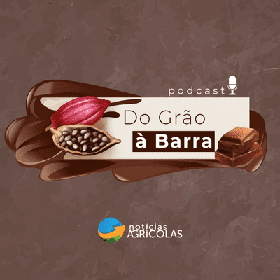 Do GrĂŁo a Barra