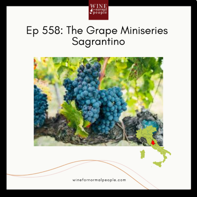 episode Ep 558: The Grape Mini Series -- Sagrantino artwork