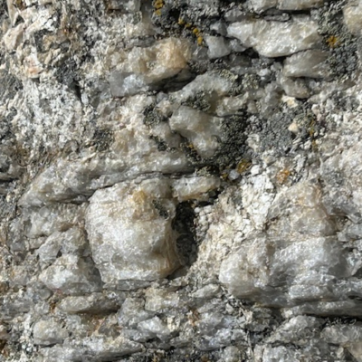 episode Episode 418: The Institute of Spectra-Sonic Sound 10.18.25 artwork