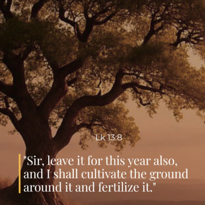 episode October 25, 2025 - XXIX Saturday in Ordinary Time artwork