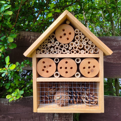episode Bienenhotels aus dem Baumarkt - sinnvoll oder nicht? artwork
