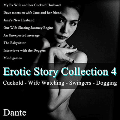 episode Erotic Story Collection 4 artwork
