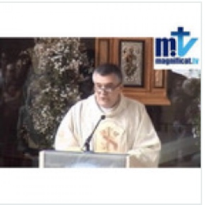 episode Homilia 24/5/22 “Dios es Verdad” P. Santiago Martín FM artwork