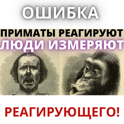 episode ешение проблем создаёт больше проблем — Ошибка реагирующего. Как принимают решения люди и приматы. artwork